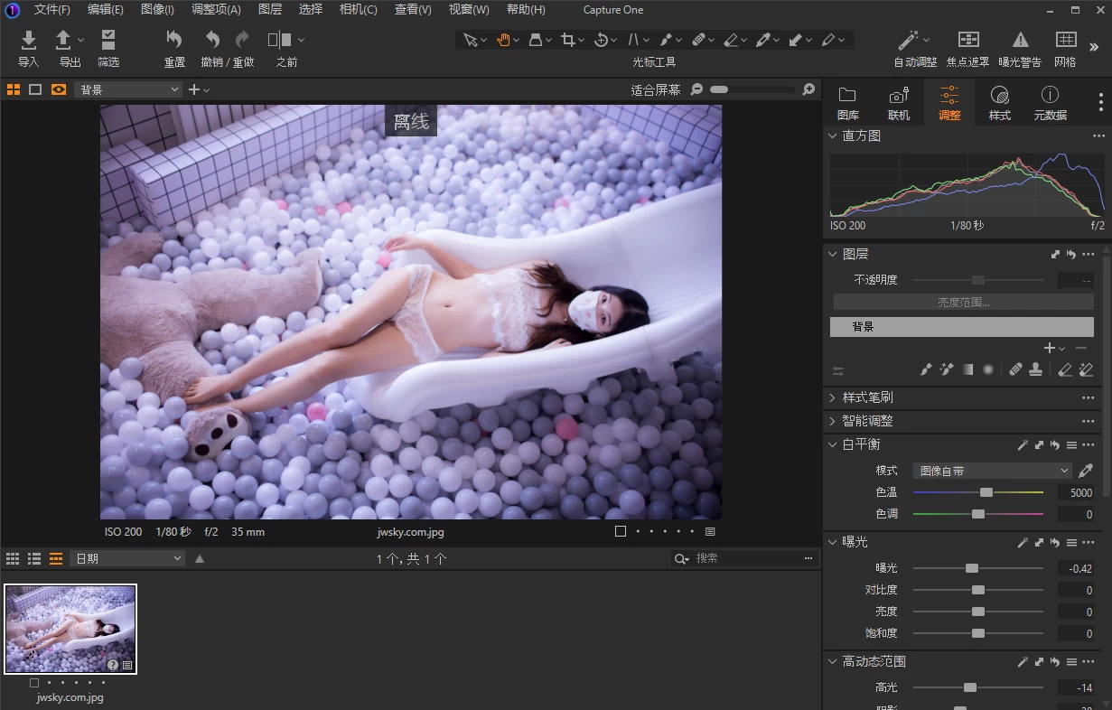 Capture One 23 RAW图像处理软件 v16.8.0.3565 中文破解版 第1张